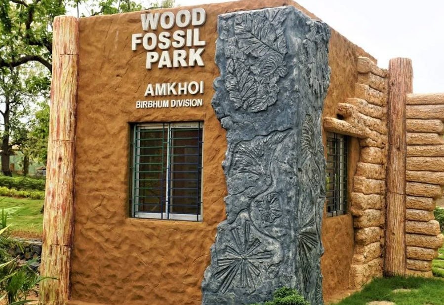 Amkhoi Wood Fossil Park, Illambazar,Birbhum, Birbhum, West Bengal - Vushii.com